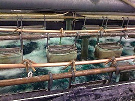 Electroplating