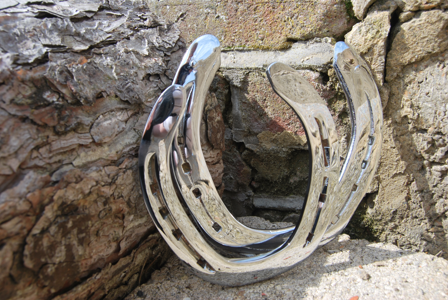 Picture of a horse-shoe chrome plated.